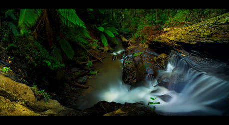 Tree Trunk Falls