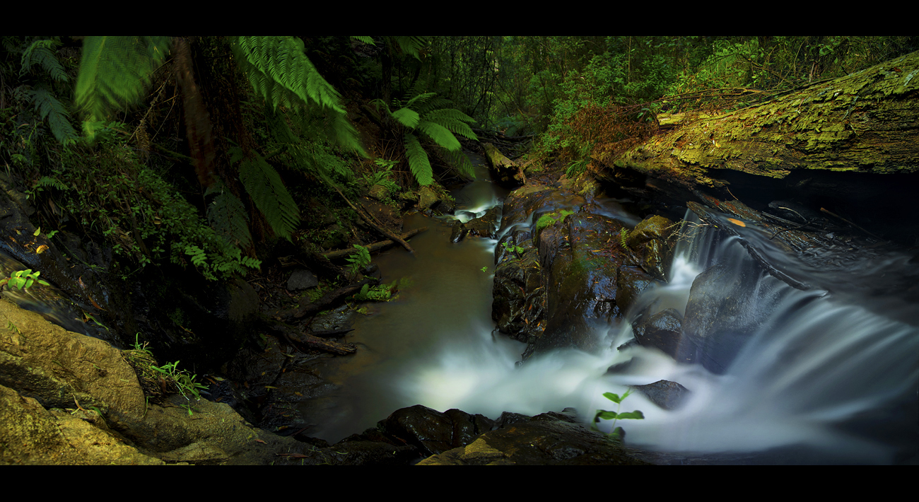 Tree Trunk Falls