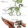 Dragon Anatomy