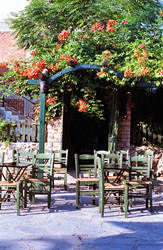 Sivota Taverna