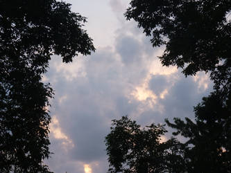 Trees and Clouds