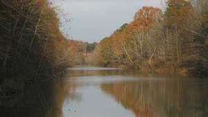 Down the Coldwater River 