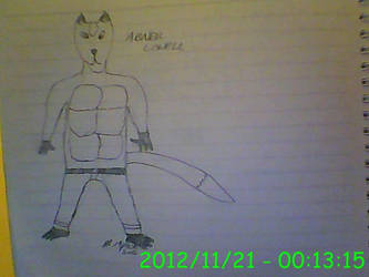 Hand-Drawn Anthro Fox