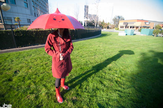 ID - The Red Umbrella