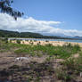 Vegetation And Sand