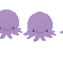 Octopi separator gif