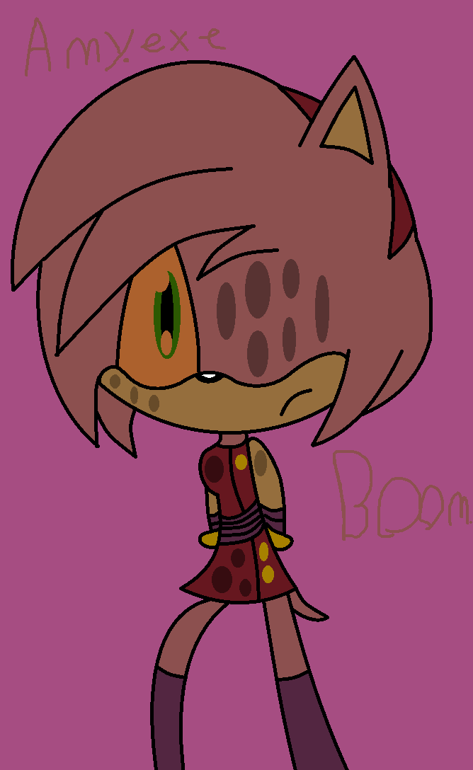 Sonic Boom Amy Exe.