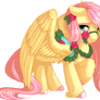 Carousel Fluttershy