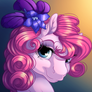 Pinkie Portrait