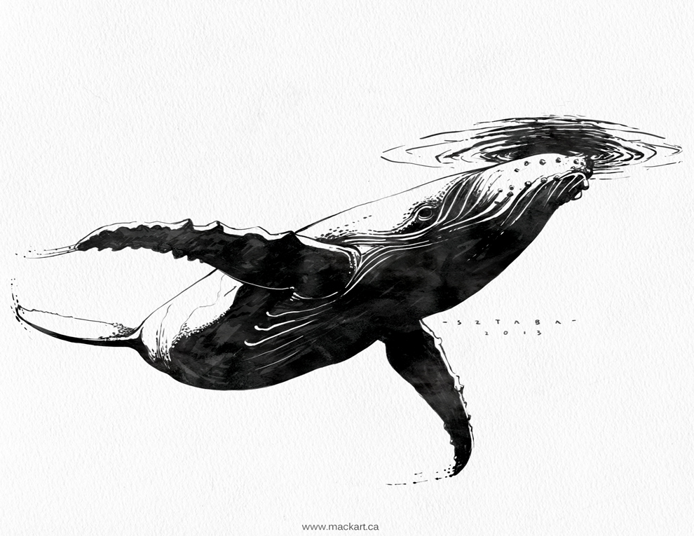 Humpback Whale