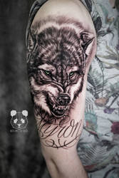 Wolf tattoo in progresssss