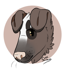 Borzoi - Commission