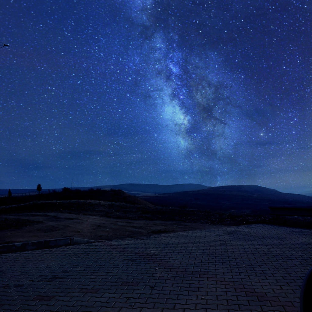 A Beautiful Night in the Wilderness  ))))))