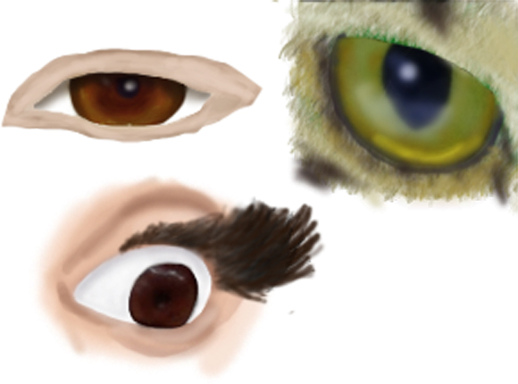 eyes