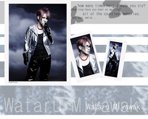 Wataru-12012 Wallpaper