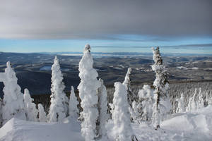 The Sunshine Bowl