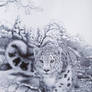 Snow leopard (drawing)