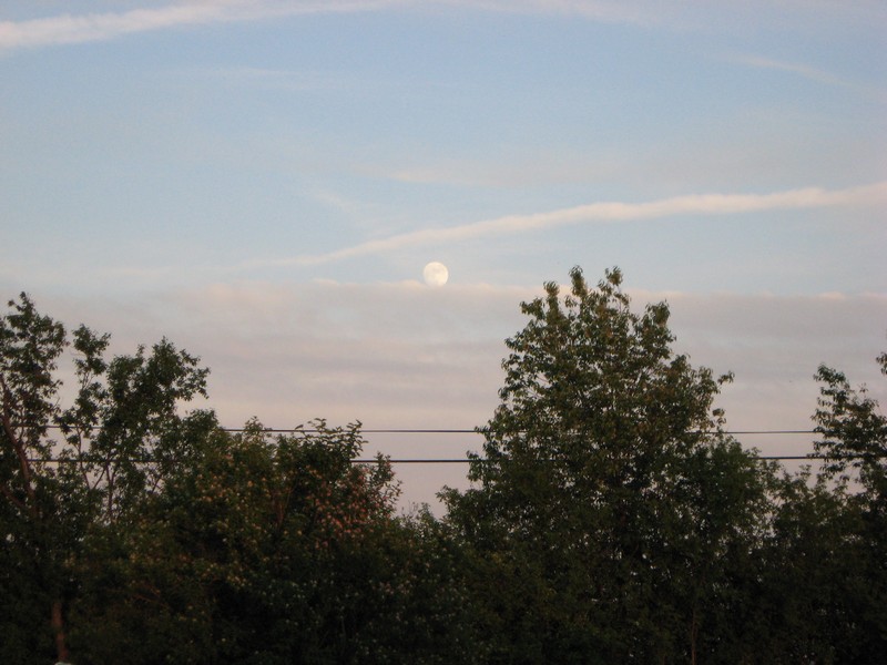 The moon over yard