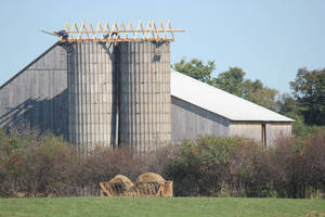 Amish Building Silo Roof (5)