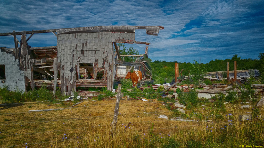 After the Apocalypse - Soul Survivor by Lectrichead