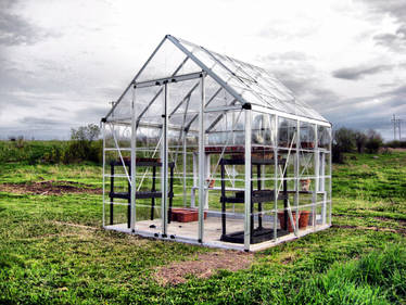 The Greenhouse