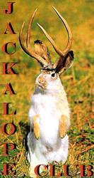 Jackalope Club ID 1