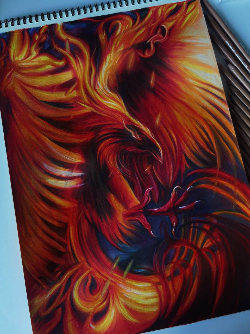 Phoenix Bird Drawings Color