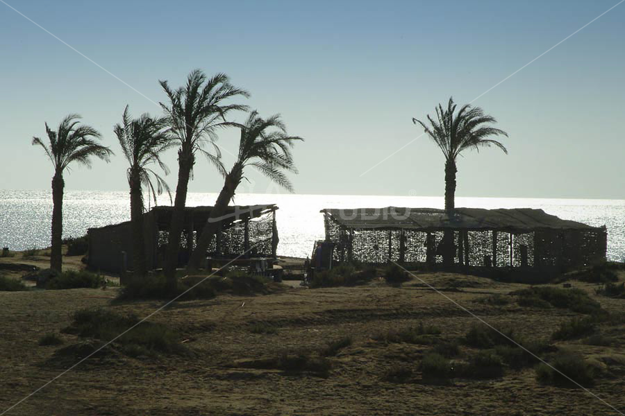 Bedouin Tent