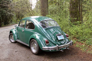 Green Bug 2