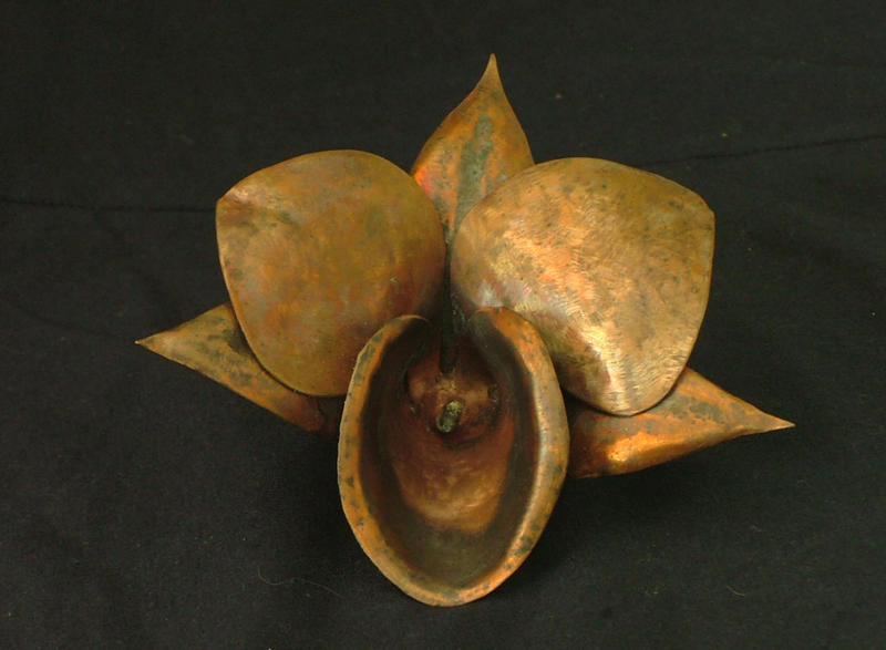 Copper Orchid
