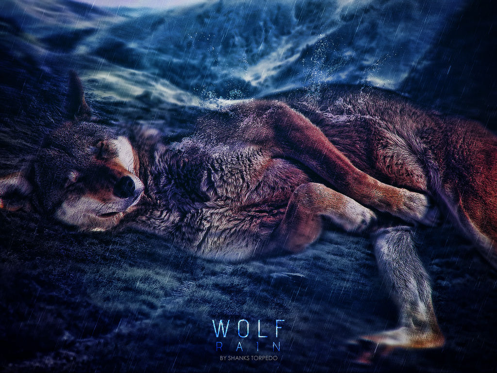 WOLF RAIN by ShanksTorpedo on DeviantArt