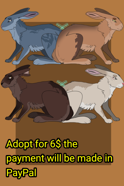 Deviantart Adoptable Rabbit Racer Rabbit adopt (Open) by AdoptFurryPopurri on DeviantArt