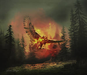 L oiseau by Anita-Creations L oiseau by Anita-Creations