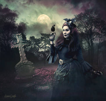 With My Crow by Laura-Graph