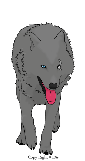 Wolf Lineart Scott colored