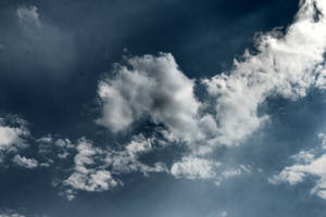 Kitty in the Sky