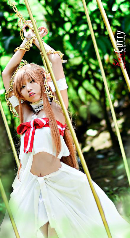 Cosplay ALO Asuna Yuuki