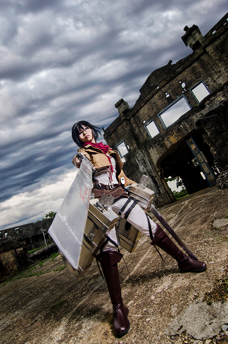 Mikasa-stand-and-fight