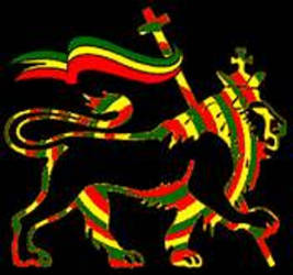 Rasta Lion