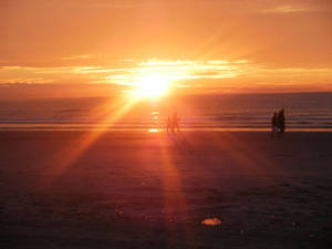 On the beach