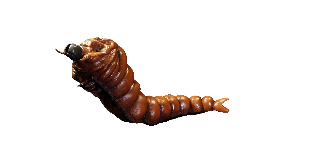 Showa Mothra Larva Render 10 By KaijuCollector033 On DeviantArt showa-mothra-larva-render-10-by-kaijucollector033-on-deviantart