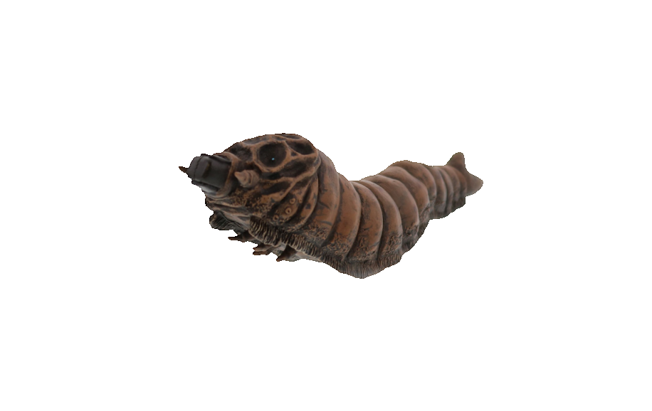 Showa Mothra Larva Render 14 By KaijuCollector033 On DeviantArt showa-mothra-larva-render-14-by-kaijucollector033-on-deviantart
