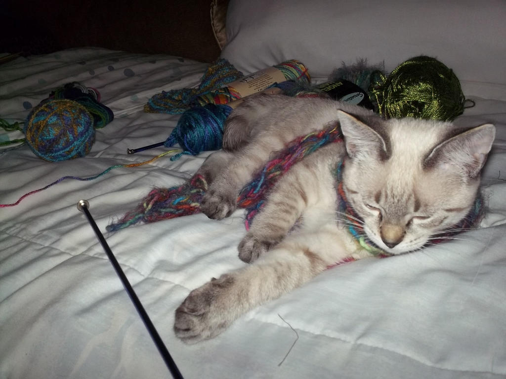 sleep in string, knitting dreams by scifinina on DeviantArt