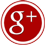 Google+ icon flat round 45px by EXOstock