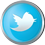 Twitter icon volumetric round 45px