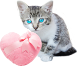 Little kitten with a fur heart 2 150px by EXOstock