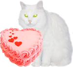 White cat with a pink cake 150px