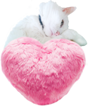Pink fur heart with white cat 150px by EXOstock