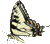 Blue butterfly32 animated 50px
