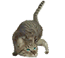 Mad cat 2